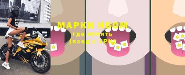 хмурый Зеленокумск