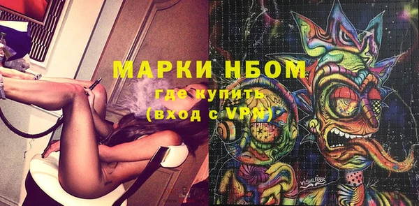 хмурый Зеленокумск